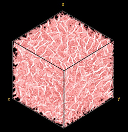 Collagen scaffold imaged using X-ray Microtomography to reveal its 3D structure. The length of the side of the cube is 1mm. (Jennifer Ashworth)