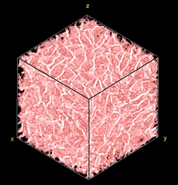 Collagen scaffold imaged using X-ray Microtomography to reveal its 3D structure. The length of the side of the cube is 1mm. (Jennifer Ashworth)