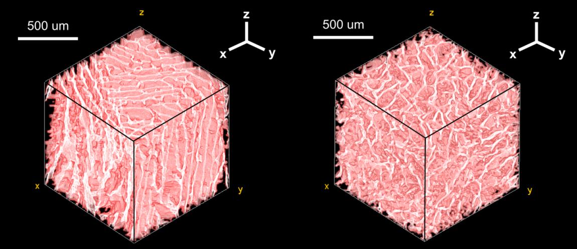 Figure: 3D micro-tomography images, demonstrating the differences in architecture achievable on variation of the thermal profile during freezing.